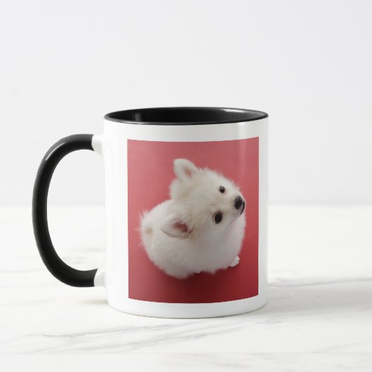 Mug Pomeranian sur le tapis rouge (Gauche)