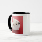 Mug Pomeranian sur le tapis rouge (Devant gauche)