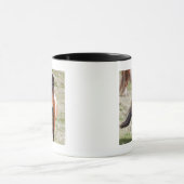 Mug Poney Shetland, îles Shetland (Centre)