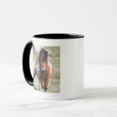 Mug Poney Shetland, îles Shetland (Devant gauche)