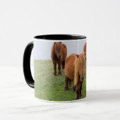 Mug Poney Shetland sur le pâturage près de hautes fala (Devant gauche)
