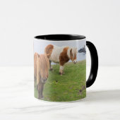 Mug Poney Shetland sur le pâturage près de hautes fala (Devant droit)