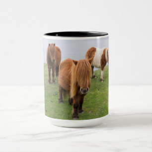 Mug Poney Shetland sur le pâturage près de hautes fala