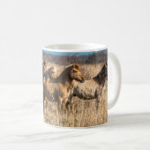 Mug poneys Wild Konik Wicken Fen Cambridgeshire UK (Devant droit)