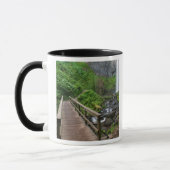 Mug Pont à Latourell Falls, Columbia River Gorge, (Gauche)