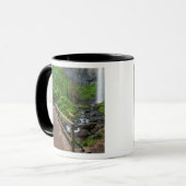 Mug Pont à Latourell Falls, Columbia River Gorge, (Devant gauche)