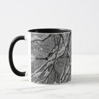 Mug Pont de voûte au-dessus de rivière congelée en