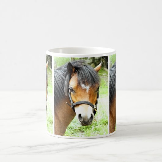 MUG PONY BROWN (Centre)