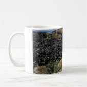 Mug Pools de marée à Bob Creek, Oregon (Gauche)