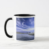Mug POPHAM BEACH STATE PARK, MAINE.États-Unis Cirrus (Gauche)
