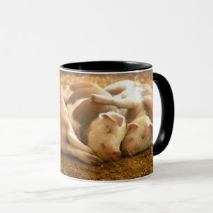 Mug Porcs se blottissants des images de Getty