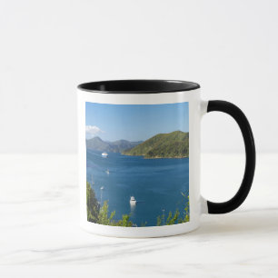 Mug Port de Picton, Marlborough Sounds, Sud