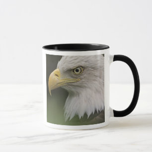 Mug Portrait d'aigle à tête blanche adulte, Haliaeetus