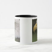 Mug Portrait d'aigle à tête blanche adulte, Haliaeetus (Centre)