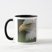 Mug Portrait d'aigle à tête blanche adulte, Haliaeetus (Gauche)
