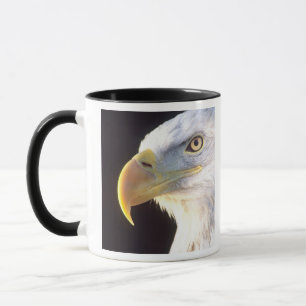 Mug Portrait d'aigle royal, Haliaeetus leucocephalus,