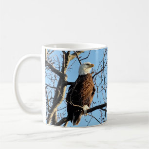 Mug Portrait de Bald Eagle