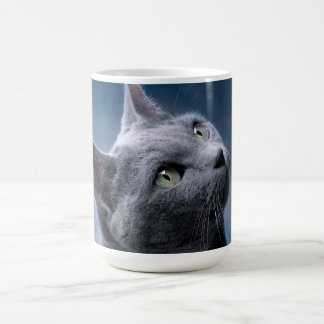 Mug Portrait de chat