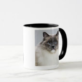 Mug Portrait de chat de Ragdoll (Devant droit)