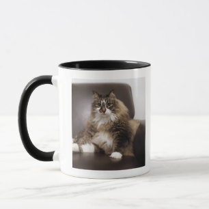 Mug Portrait de chat se reposant dans la chaise
