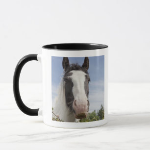 Mug Portrait de cheval de Clydesdale