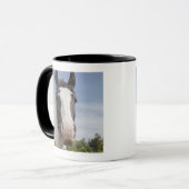 Mug Portrait de cheval de Clydesdale (Devant gauche)