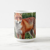 Mug Portrait de faune forestière du renard roux (Centre)