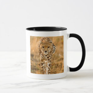 Mug Portrait de guépard (Acinonyx Jubatus), Maasai