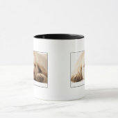 Mug Portrait de studio de labrador retriever jaune (Centre)