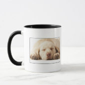 Mug Portrait de studio de labrador retriever jaune (Gauche)