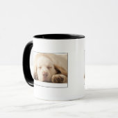 Mug Portrait de studio de labrador retriever jaune (Devant gauche)