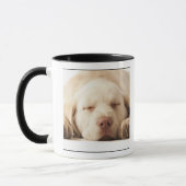 Mug Portrait de studio de labrador retriever jaune (Gauche)