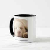 Mug Portrait de studio de labrador retriever jaune (Devant gauche)