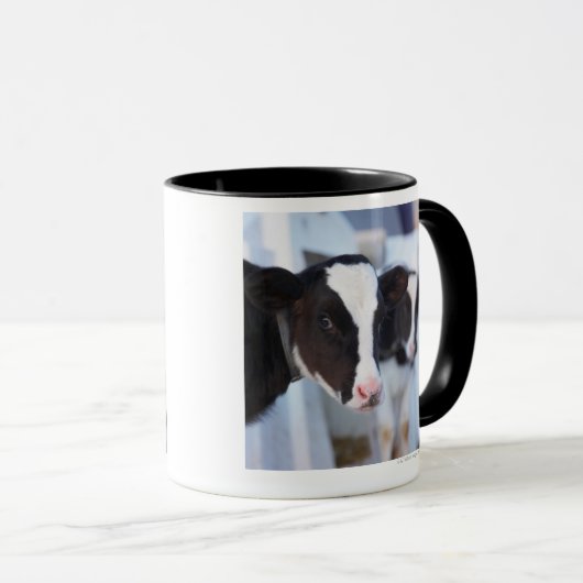 Mug Portrait de vache (Devant droit)