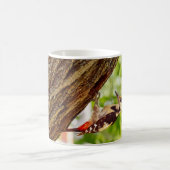 Mug Portrait d'oiseau Pic épeiche (Centre)