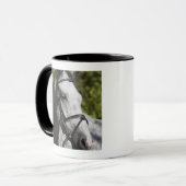 Mug portrait du cheval blanc 2 (Devant gauche)