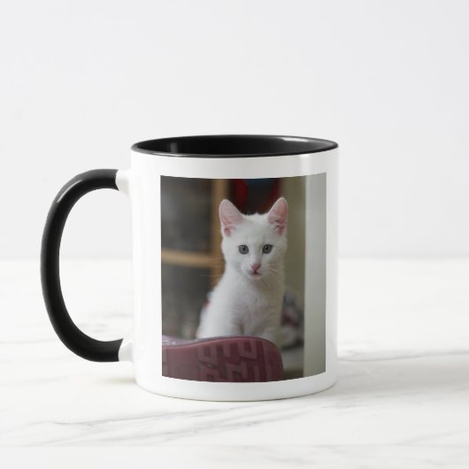 Mug Portrait d'un chaton blanc, Suède (Gauche)
