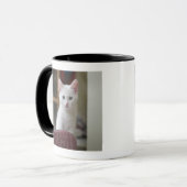 Mug Portrait d'un chaton blanc, Suède (Devant gauche)