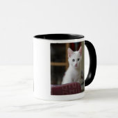Mug Portrait d'un chaton blanc, Suède (Devant droit)
