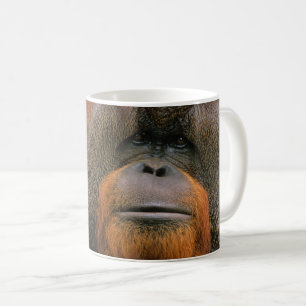 Mug Portrait d'un orang-outan mâle, Géorgie, États-Uni
