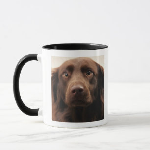 Mug Portrait d'une jeune femelle appréhensive