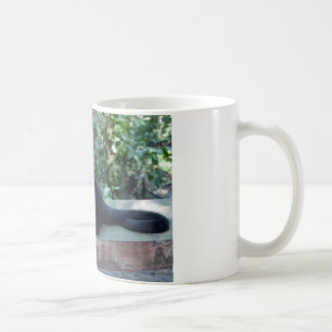 Mug Portrait.JPG