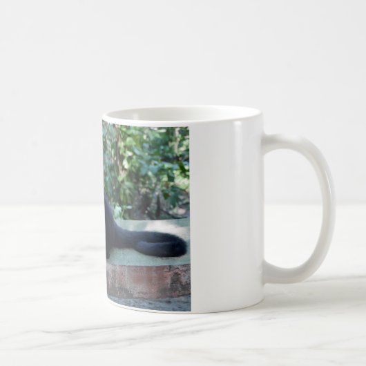 Mug Portrait.JPG (Droite)