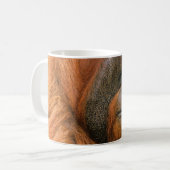 Mug Portrait of Orang-utang Male, Georgia, USA (Devant gauche)