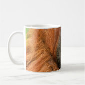 Mug Portrait of Orang-utang Male, Georgia, USA (Gauche)