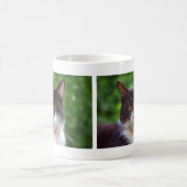 Mug Portrait Tuxedo (Centre)