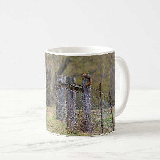 Mug Pose de café Pose de clôture d'écureuil (Devant droit)