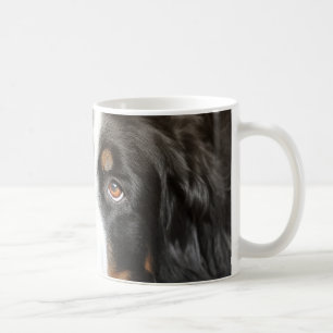 Mug pose de chien de montagne bernese