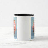 Mug Pot de Sigillated, de Lezoux, Puy-De-Dôme (Centre)