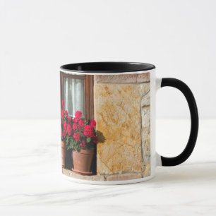 Mug Pots de fleurs de fenêtre dans le village